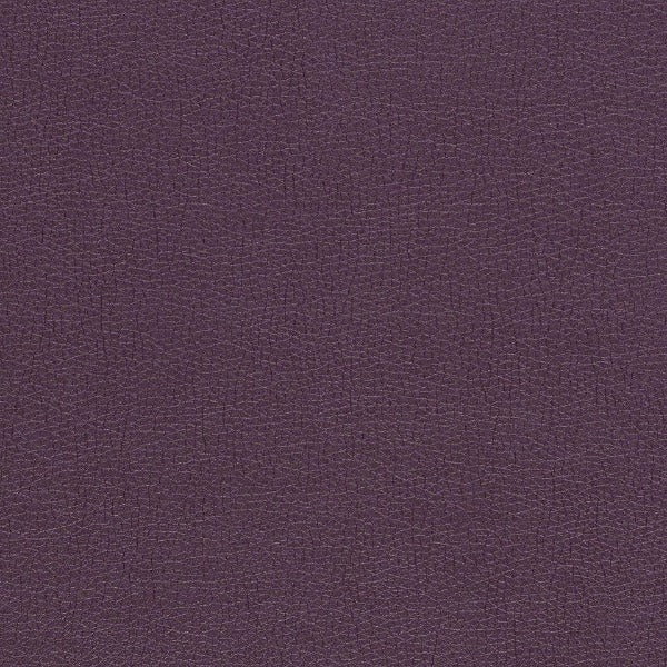 CF Stinson Sundance Concord Upholstery Vinyl