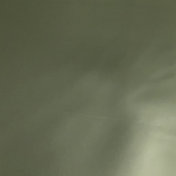 Momentum Silica Dewpoint Solid Green Upholstery Vinyl