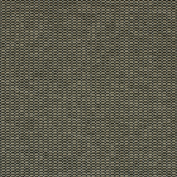 Remnant of HBF Dashing Down the Street Upholstery Fabric