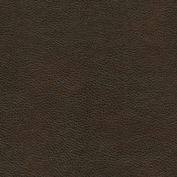 Remnant of Concertex Dublin Espresso Upholstery Vinyl
