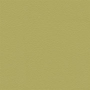Remnant of Architex Evolution Gene Upholstery Vinyl