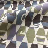 Remnant of Mayer Signs Weathered Sunbrella Upholstery Fabric
