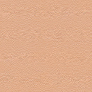 Knoll Prairie Petal Pink Upholstery Vinyl