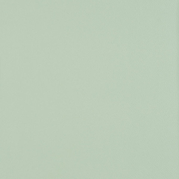 Remnant of Luum Top Coat Frit Upholstery Vinyl