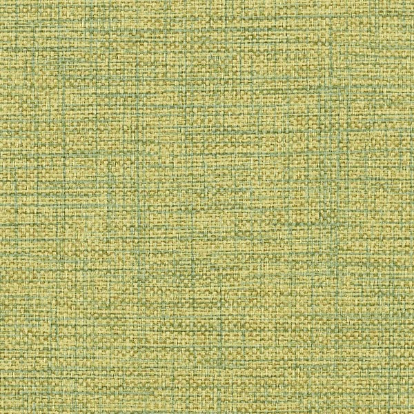 Remnant of Mayer Mingle Aloe Upholstery Vinyl