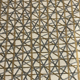 Momentum Sketching Air Chalk Upholstery Fabric
