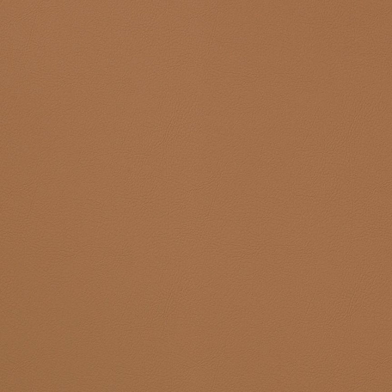 Remnant of CF Stinson Alamo Acorn Upholstery Vinyl