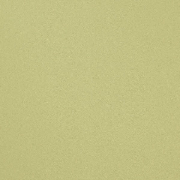 Remnant of CF Stinson Alamo Spring Upholstery Vinyl