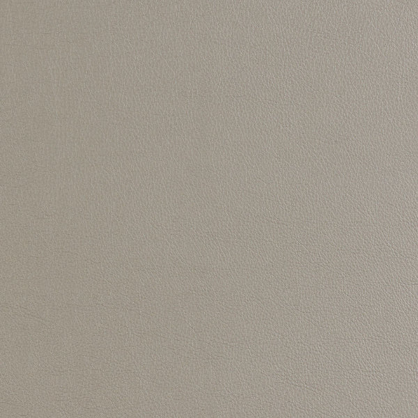 Remnant of CF Stinson Cassidy Armada Upholstery Vinyl