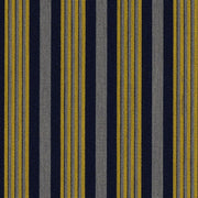 Anzea Catwalk Sporty Upholstery Fabric