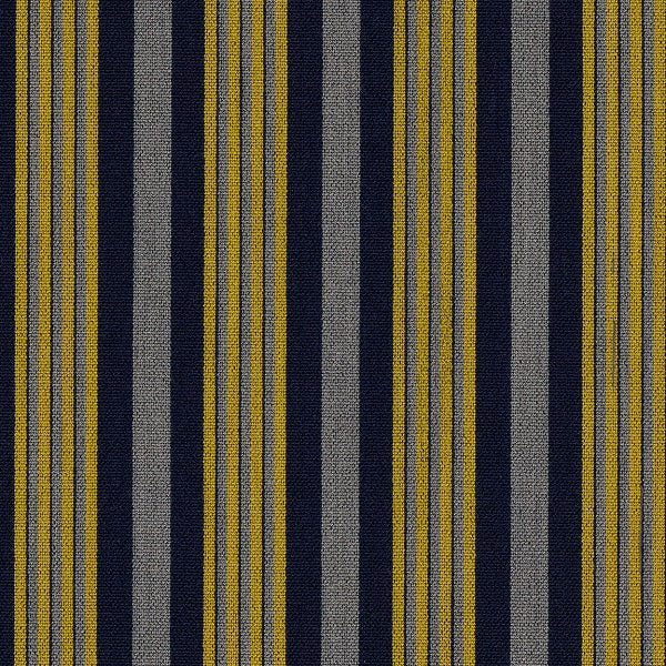 Anzea Catwalk Sporty Upholstery Fabric