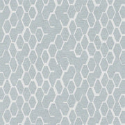 Remnant of CF Stinson Charlotte Clear Upholstery Fabric