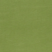 Remnant of CF Stinson Dakota Chive Upholstery Fabric