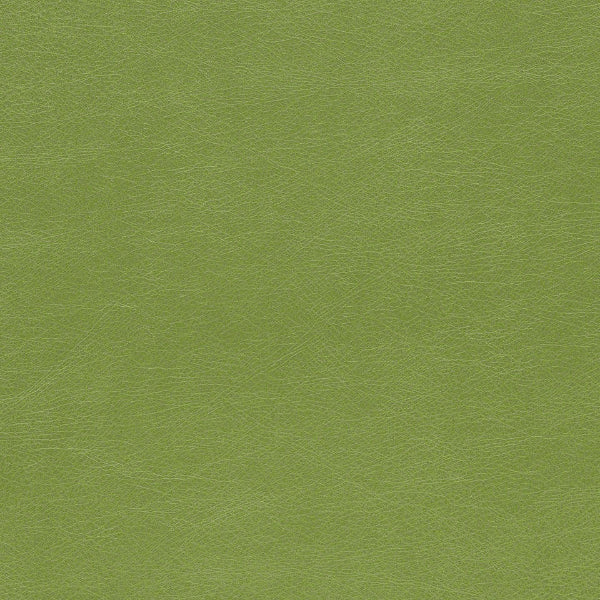 Remnant of CF Stinson Dakota Chive Upholstery Fabric