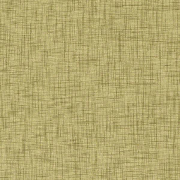 Remnant of CF Stinson Etch Wasabi Upholstery Vinyl