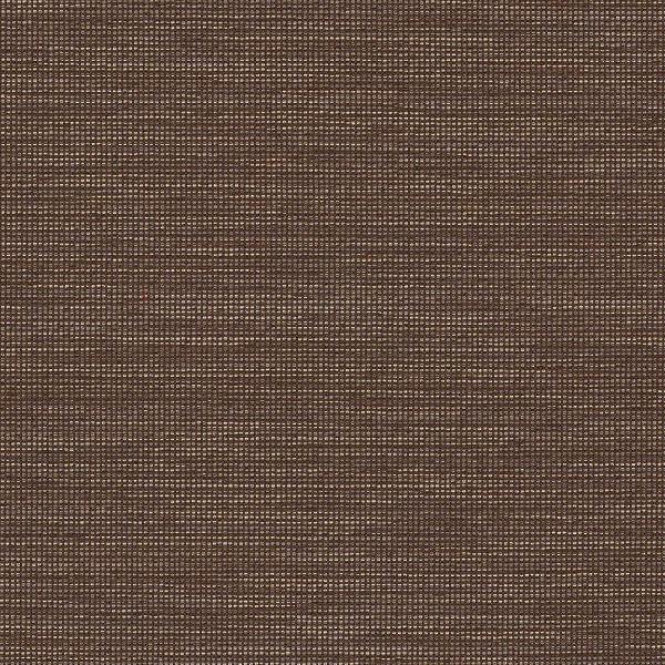 Remnant of CF Stinson Gravity Brindle Upholstery Fabric