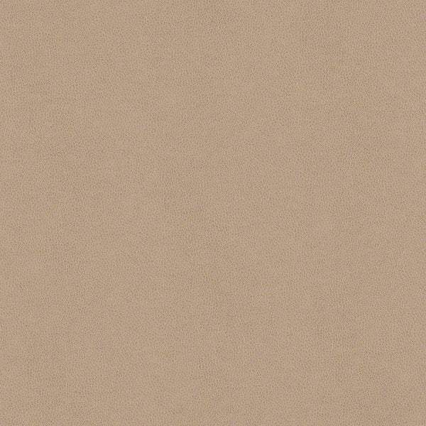 Remnant of CF Stinson Modena Caffe Upholstery Vinyl