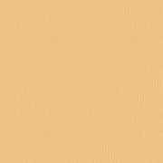 Fabric Remnant of Mayer Outback Almond