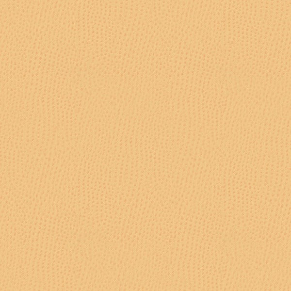 Fabric Remnant of Mayer Outback Almond