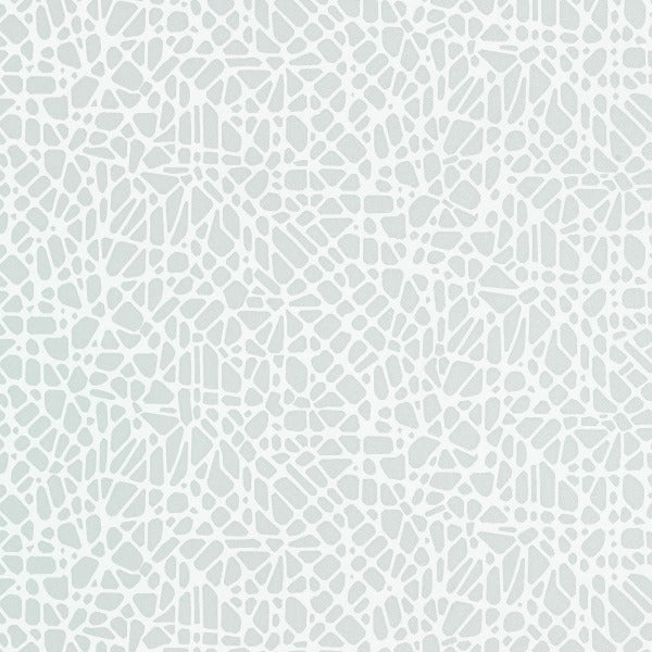 Remnant of CF Stinson Route Ice Vinyl