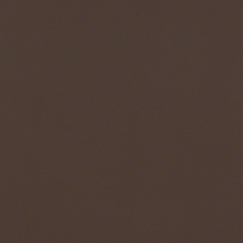 Remnant of CF Stinson Silicone Avail Java Upholstery Vinyl