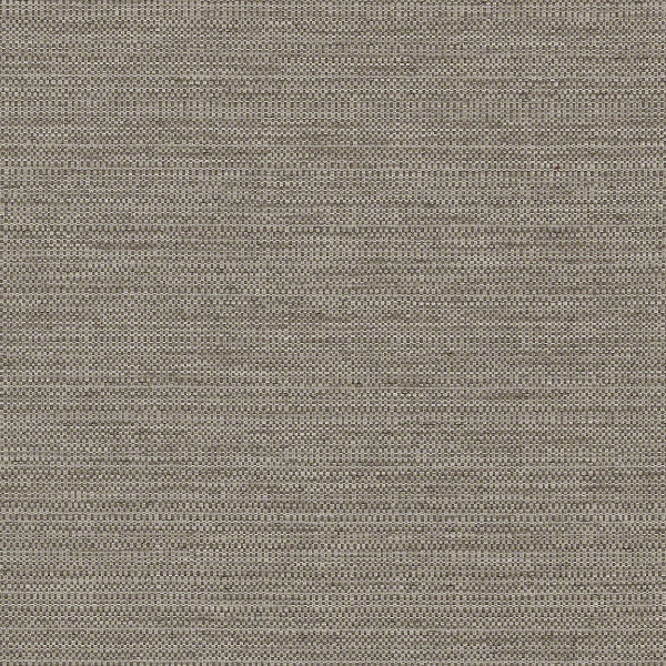 CF Stinson Stellar Chinchilla Gray Upholstery Fabric