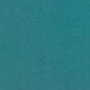 Vinyl Remnant of CF Stinson Twinkle Sky Ocean Sky