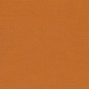 Remnant of CF Stinson Zoom Burst Upholstery Fabric