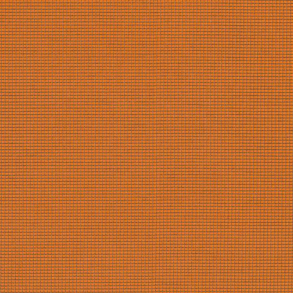 Remnant of CF Stinson Zoom Burst Upholstery Fabric