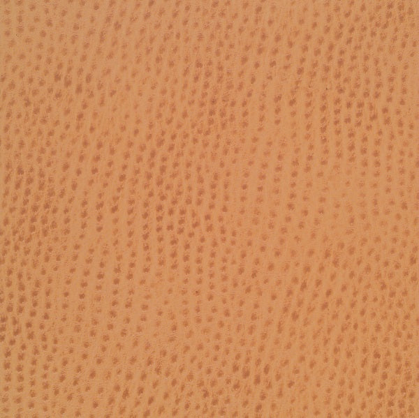 Mayer Outback Spice Upholstery Vinyl