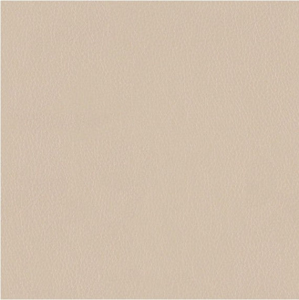 Remnant of Luum Decoy Trick Mirror Upholstery Vinyl