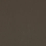 Remnant of Momentum Evo CV Mink Upholstery Vinyl Material Fabric