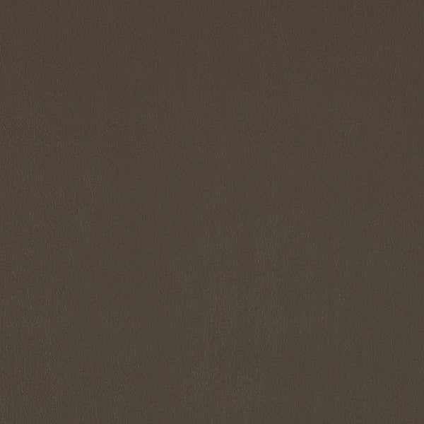 Remnant of Momentum Evo CV Mink Upholstery Vinyl Material Fabric