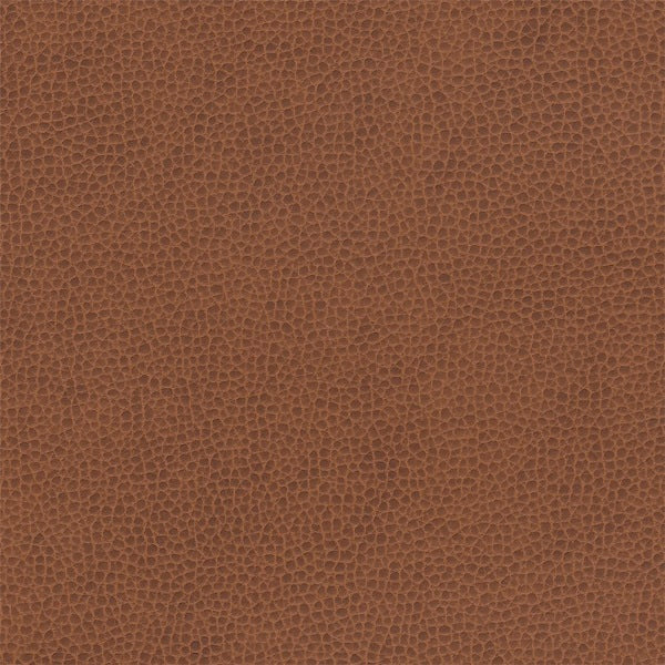 Architex Ryder Joshua Tree Brown Upholstery Vinyl