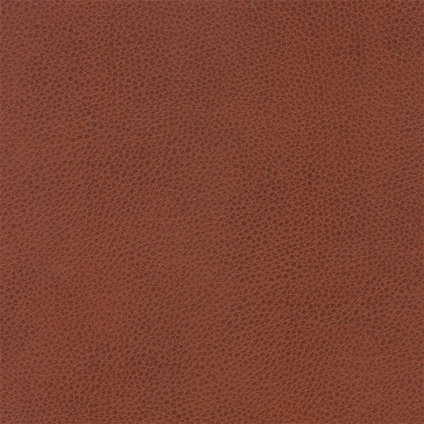 Architex Ryder Fonner Brown Upholstery Vinyl