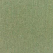 Sunbrella Canvas Fern 5487-0000 Green Outdoor Upholstery Fabric