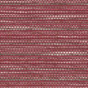 Fabric Remnant of Mayer Relativity Carmine