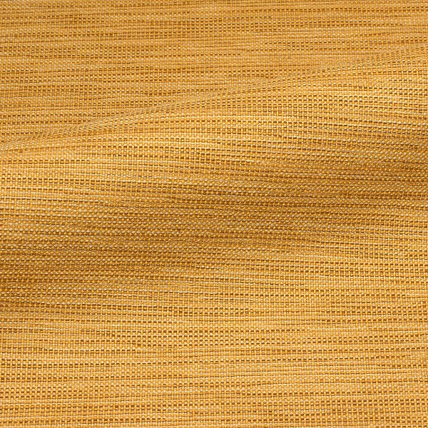 CF Stinson Gravity Soleil Upholstery Fabric