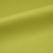 CF Stinson Rainier Moss Upholstery Vinyl