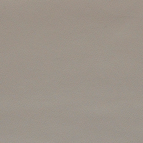 Remnant of Momentum Agora Smoke Upholstery Vinyl