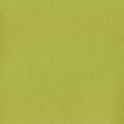 Remnant of Almost Glove Kiwi Upholstery Fabric