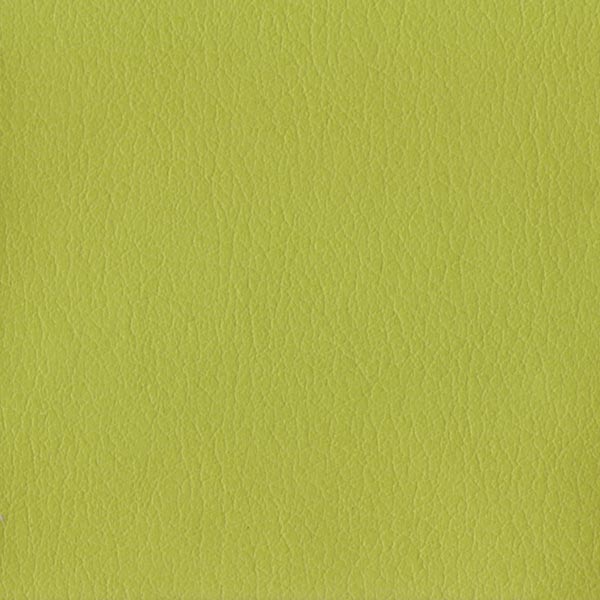 Remnant of Almost Glove Kiwi Upholstery Fabric