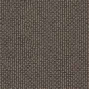 Luum Ample Gamma Brown Upholstery Fabric