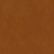 Remnant of Designtex Hyde Autumn Upholstery Vinyl