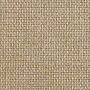 Remnant of Momentum Beta Sand Upholstery Fabric