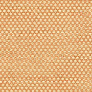 Remnant of Momentum Build Shell Upholstery Fabric