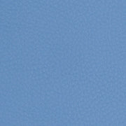Remnant of LDI California Carolina Upholstery Vinyl
