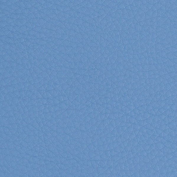Remnant of LDI California Carolina Upholstery Vinyl