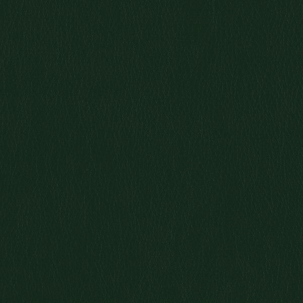 Mayer Caressa Orchard Green Upholstery Vinyl