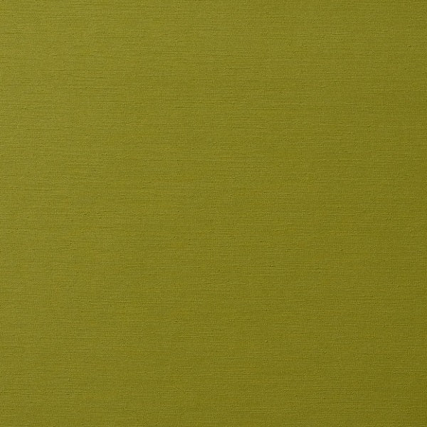 Wolf-Gordon Caracu Pistachio Green Upholstery Vinyl